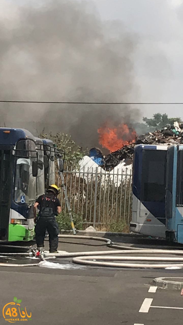 firbus eastyaffa (11).jpg